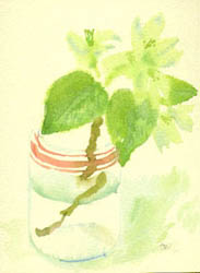 Солнечная весна