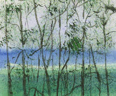 Весенняя сырость