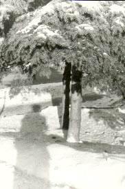 Автопортрет, 1990